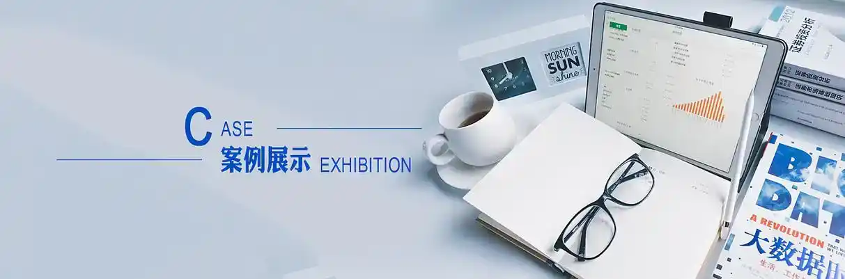 翁源县软件开发